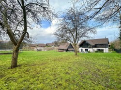 Images for Weobley, Hereford
