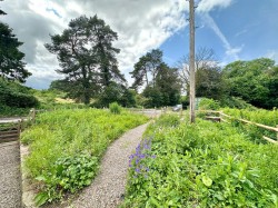 Images for Llangua, Abergavenny