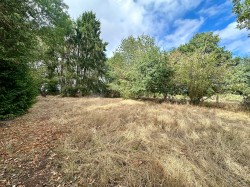 Images for Llanwarne, Hereford