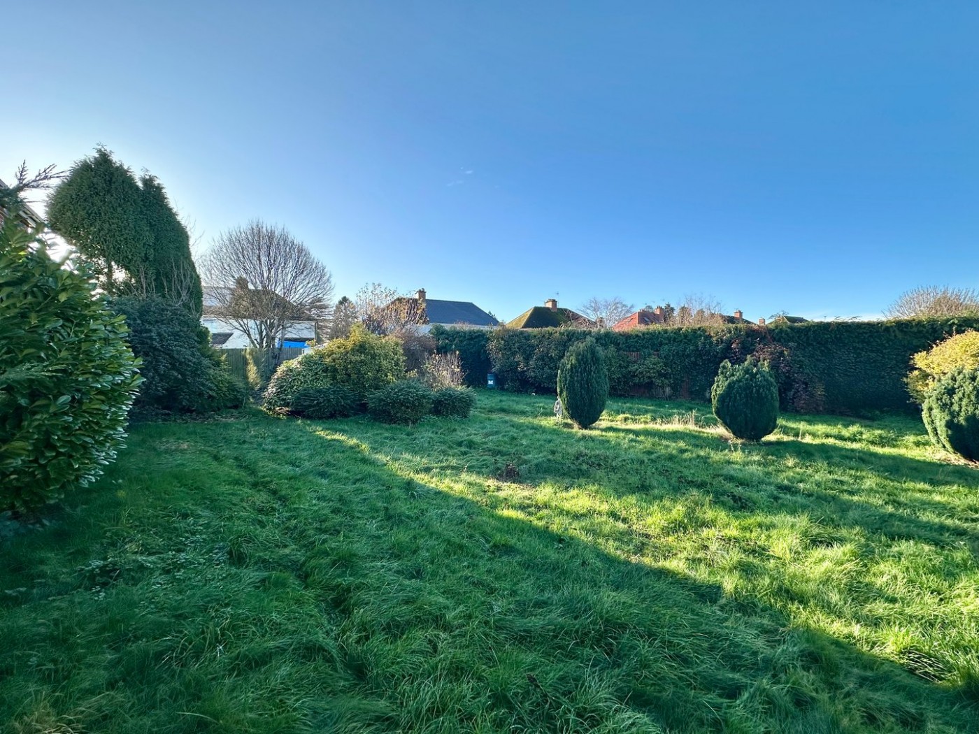 Images for Thompson Place, Hereford EAID:3282071433 BID:713703