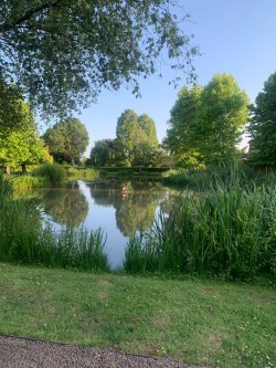 Images for Burghill, Hereford