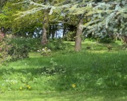Images for Burghill, Hereford