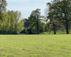 Images for Burghill, Hereford