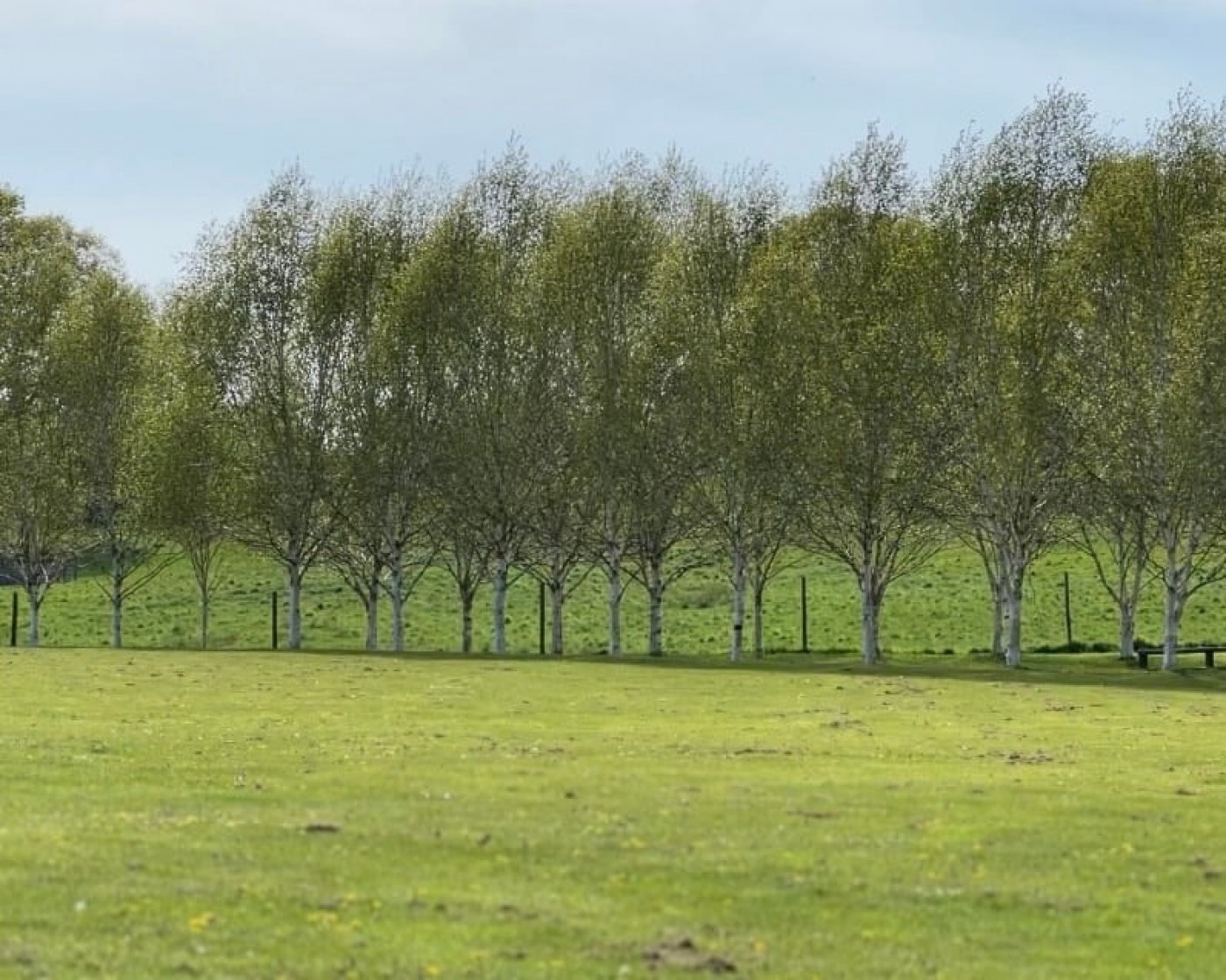 Images for Burghill, Hereford EAID:3282071433 BID:713703