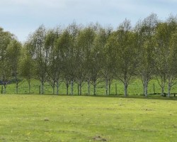 Images for Burghill, Hereford