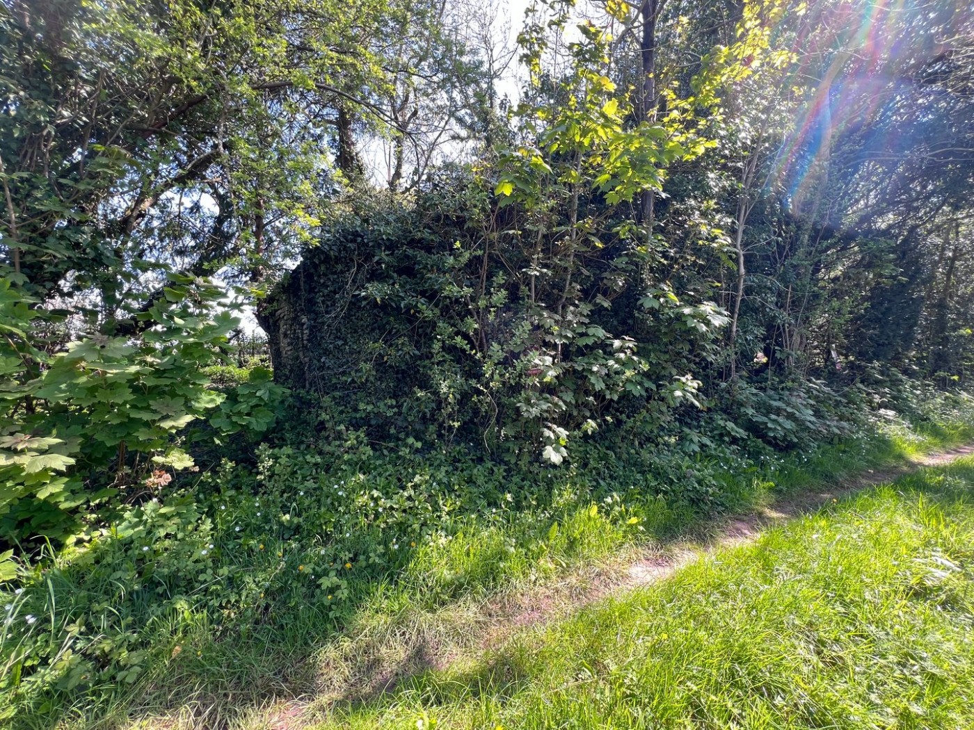 Images for Newton St Margarets, Hereford, Herefordshire EAID:3282071433 BID:713703